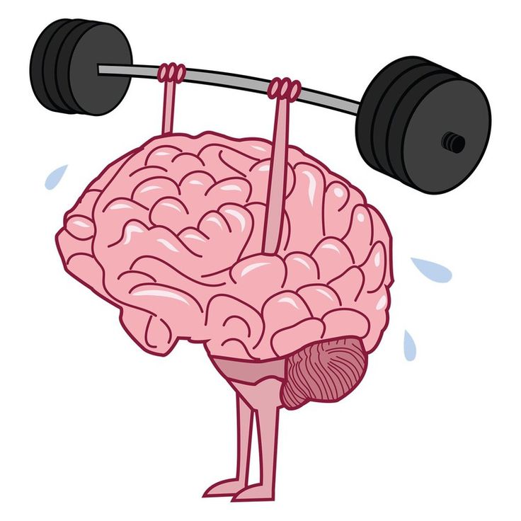 Cognitive Skills: Nurturing Your Child's Intellect